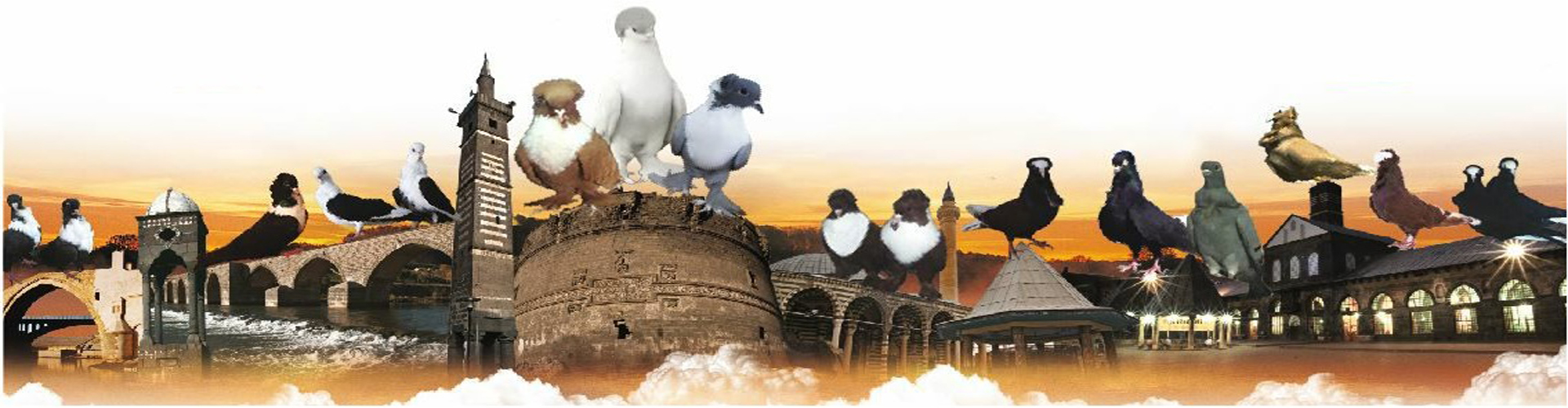 İhaleler